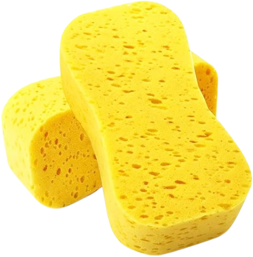 Foam Car Sponges